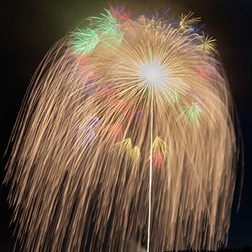 昇天銀龍黄金すだれ小割浮模様
