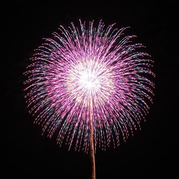 006